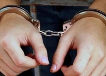 Cryptocurrency fraud: SIT nabs one, raids 41 locations in Himachal