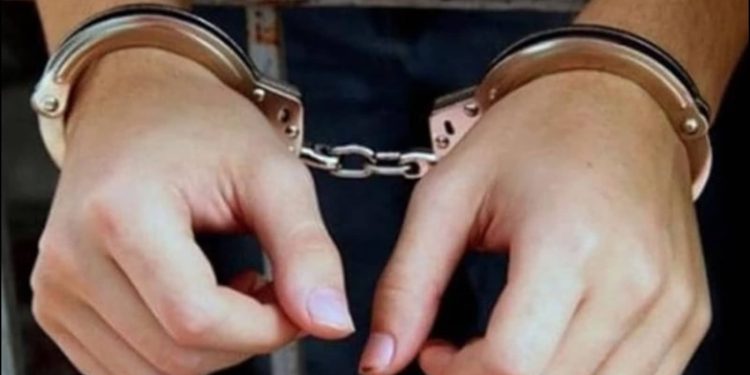 Cryptocurrency fraud: SIT nabs one, raids 41 locations in Himachal