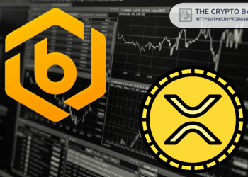 Bitrue Exchange Launches New Features for XRP: Details