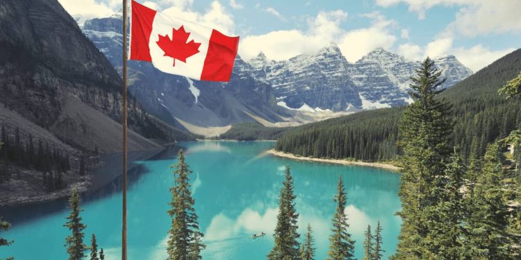 Calgary Residents Lose Over $22 Million to Crypto Scams Amid Bear Market