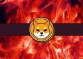 Massive 7000% Jump in This Shiba Inu (SHIB) Metric: Bull Market Incoming?