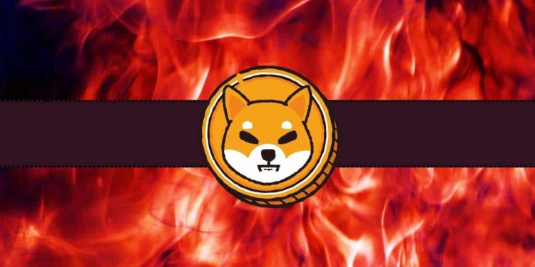 Massive 7000% Jump in This Shiba Inu (SHIB) Metric: Bull Market Incoming?