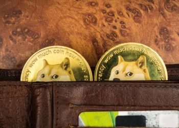 Dogecoin (DOGE) Do the Risks Outweigh the Rewards Tuesday?