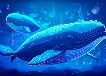 Whales Move Over $730,000,000 in Bitcoin, Ethereum, Dogecoin and XRP – Here’s Where the Crypto’s Going
