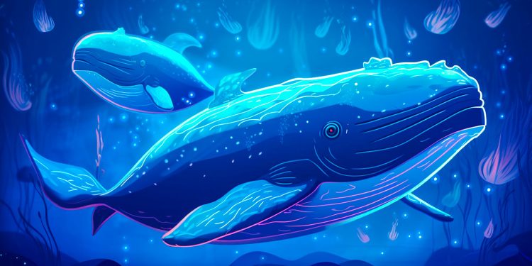 Whales Move Over $730,000,000 in Bitcoin, Ethereum, Dogecoin and XRP – Here’s Where the Crypto’s Going