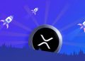 Mid-Term XRP Price Targets Revealed By Crypto Analyst