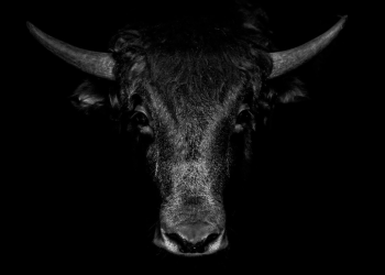 Crypto Spot Trading Volumes Climb To 8-Month Highs