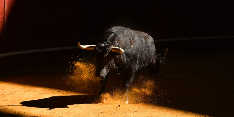 570% Rally On The Horizon, Expert Trader Says