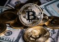 Bitcoin: Who will dictate the price of BTC – short term holders or whales?