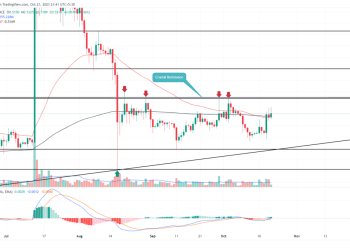 XRP Price Prediction As Bullish Pattern Sets a Rally Beyond $0.6
