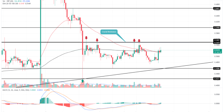XRP Price Prediction As Bullish Pattern Sets a Rally Beyond $0.6