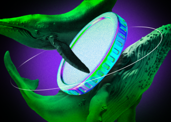 Confira 3 altcoins que as baleias de criptomoedas estão acumulando em outubro