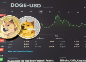 Missed the Dogecoin surge? BorroeFinance could be your next investment opportunity!