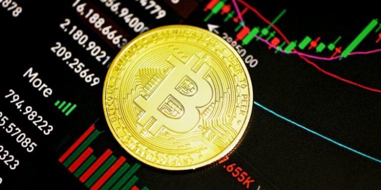 Bitcoin ($BTC) Whales and Big Money Still on ‘Risk-On Mode’, Analyst Says