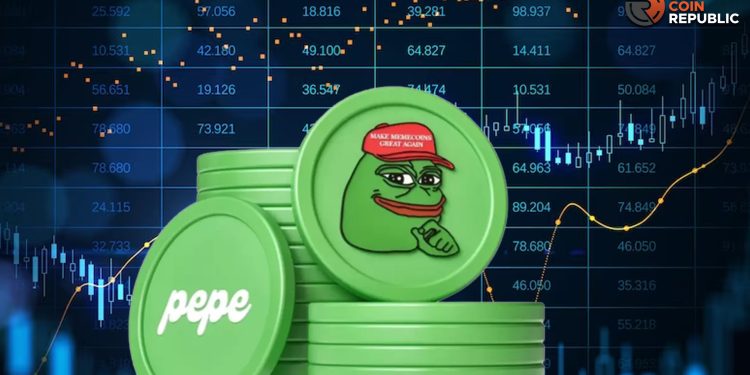 Will PEPE Crypto Topple The Dogecoin In the Crypto Bull Run?