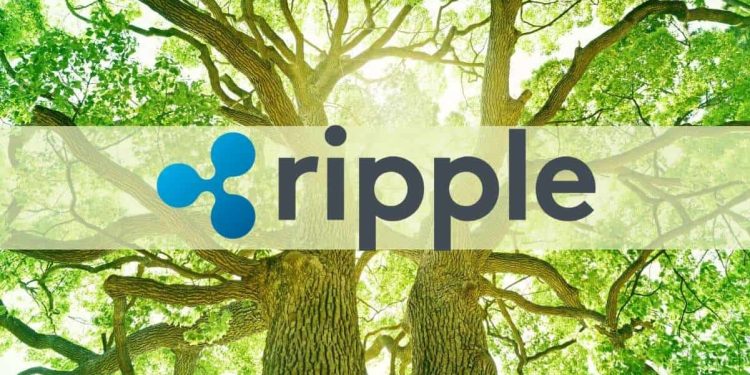 Ripple (XRP), TON, ZKSync, and Starknet See Positive Developer Growth: Report