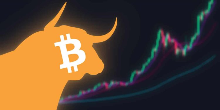 Top Crypto Analyst Accumulates Bitcoin, Ethereum, Chainlink, and Key Altcoins for Upcoming Bull Run