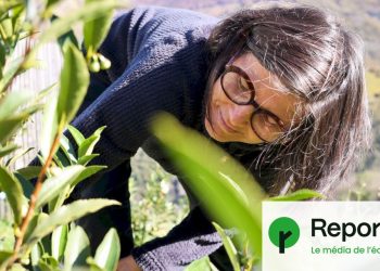 le défi de Mylène, paysanne au Pays basque