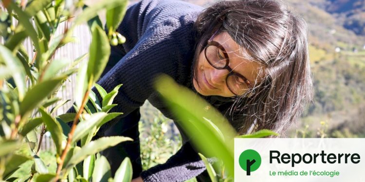 le défi de Mylène, paysanne au Pays basque