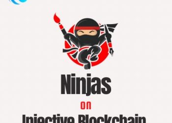 The Positive Impacts of Ninjas on Injective Blockchain🔥🔥🔥 | by Subit | Nov, 2023