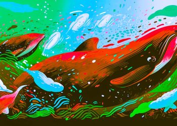 Whales Abruptly Move Over $305,000,000 Worth of Shiba Inu and Ethereum – Here’s Where the Crypto Is Going