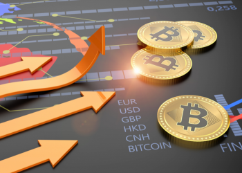 6 Reasons Why This Crypto Bull Market Will Be the Best Yet