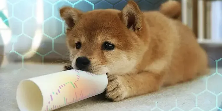 Será que o Dogecoin (DOGE) pode continuar sua tendência de crescimento? O formador de mercado compartilhou sua previsão de preço
