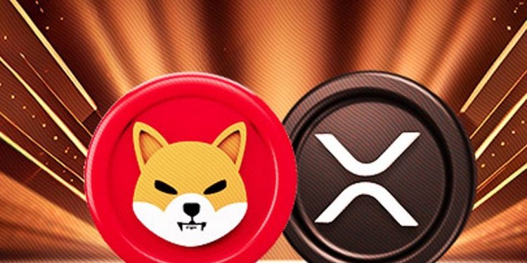 XRP And Shiba Inu Rally Is Not Over According To This Indicator