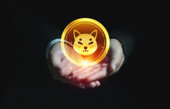 Big Money Influx Sparks Concerns About Meme Coin’s Direction