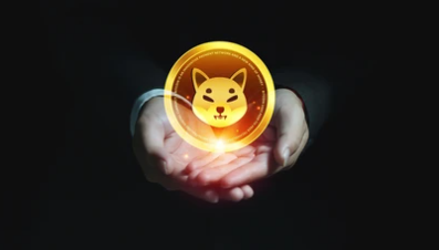 Big Money Influx Sparks Concerns About Meme Coin’s Direction