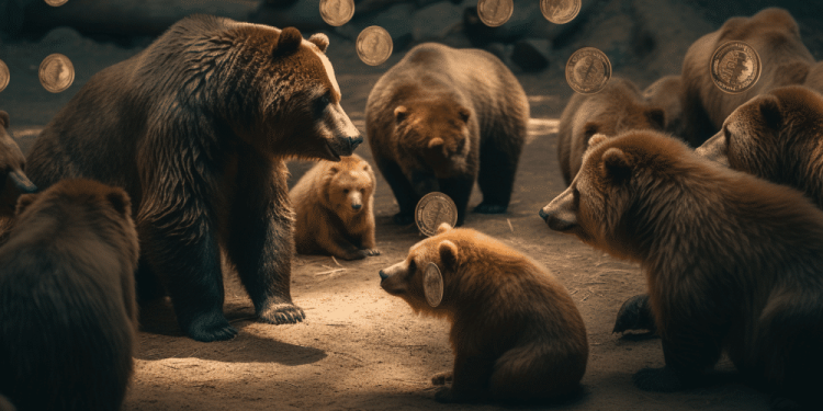 Bitcoin: Are bears falling off the wayside?
