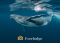 Crypto whales top bull market picks – Dogecoin, Ethereum and Everlodge