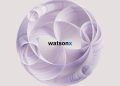 Watsonx: a game changer for embedding generative AI into commercial solutions
