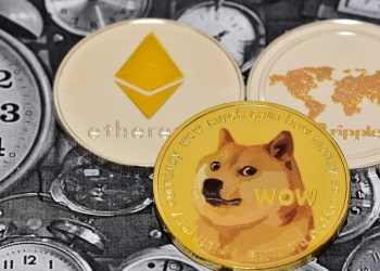 Memecoin ist laut Google einer der beliebtesten Altcoins