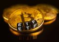 Valkyrie CIO Expects Bitcoin ETF Approval This Month in Preparation for February Launch
