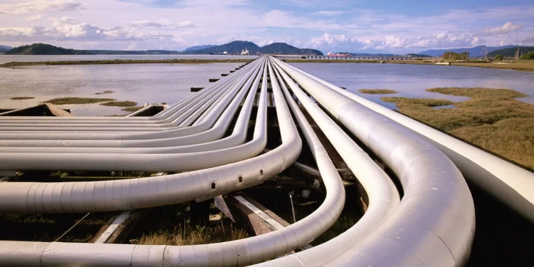 Promote resilience and responsible emissions management with the IBM Maximo Application Suite