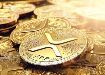 XRP Price at $0.6, Will XRP Follow Bitcoin Bull Run in December?