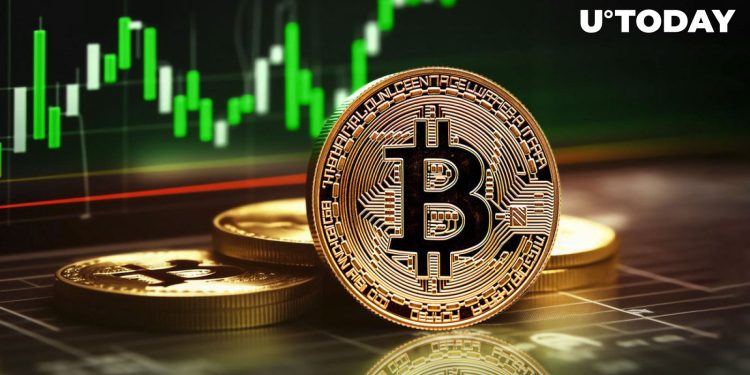 Bitcoin Traders Set Sight on $50,000 BTC Price as Altcoins Boom