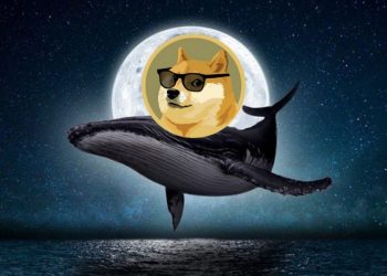 Dogecoin Whale Moves 71 Million DOGE To Robinhood, What Does This Mean For Price?