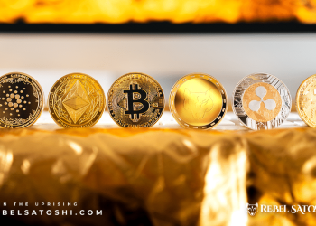 Avalanche (AVAX) Edges Past Dogecoin (DOGE) to Secure Ninth Place, but RebelSatoshi ($RBLZ) Could Outperform Them