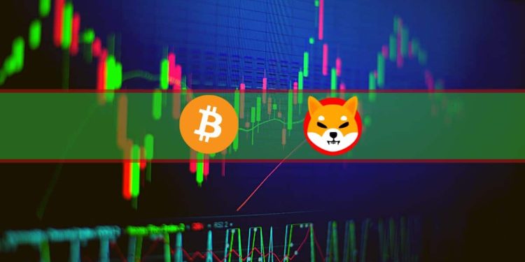 BTC Price Shot Up to $44K While AVAX, DOGE, SHIB Explode by Double Digits (Market Watch)