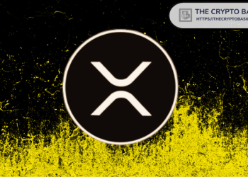 XRP Community Believes Ripple CTO is Saying DO not Sell Your XRP: Details