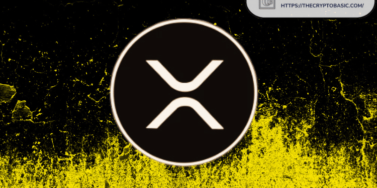 XRP Community Believes Ripple CTO is Saying DO not Sell Your XRP: Details