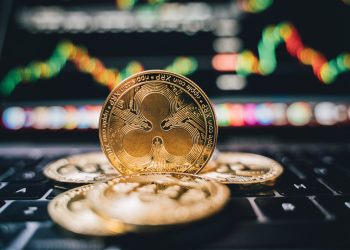 Analyst Predicts Bullish Scenarios In The Coming Days