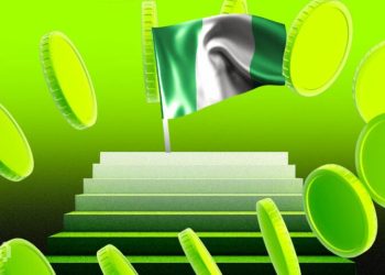 Nigeria Lifts Crypto Ban to Work on New Stablecoin