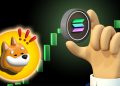 Solana-Based BONK Overtakes Shiba Inu & Dogecoin Volumes