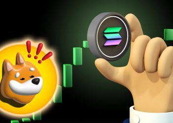 Solana-Based BONK Overtakes Shiba Inu & Dogecoin Volumes