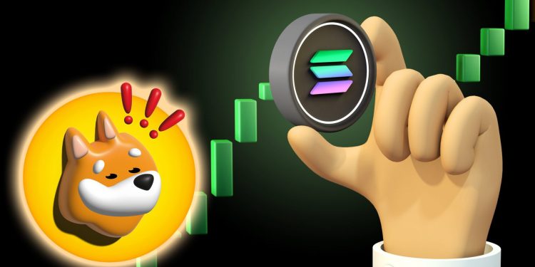 Solana-Based BONK Overtakes Shiba Inu & Dogecoin Volumes