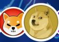 Shiba Inu vs. Dogecoin 2024 Showdown – CoinGape