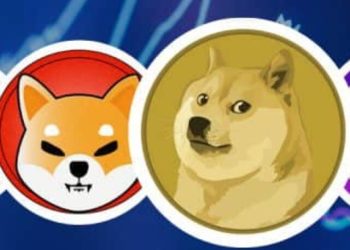 Shiba Inu vs. Dogecoin 2024 Showdown – CoinGape